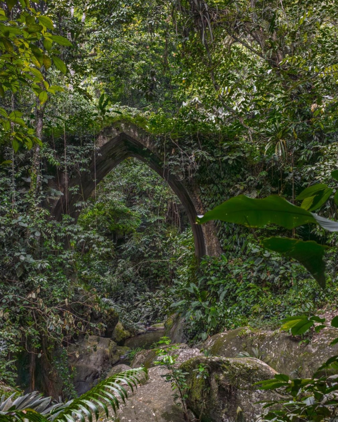 Puente Real #2, San Esteban