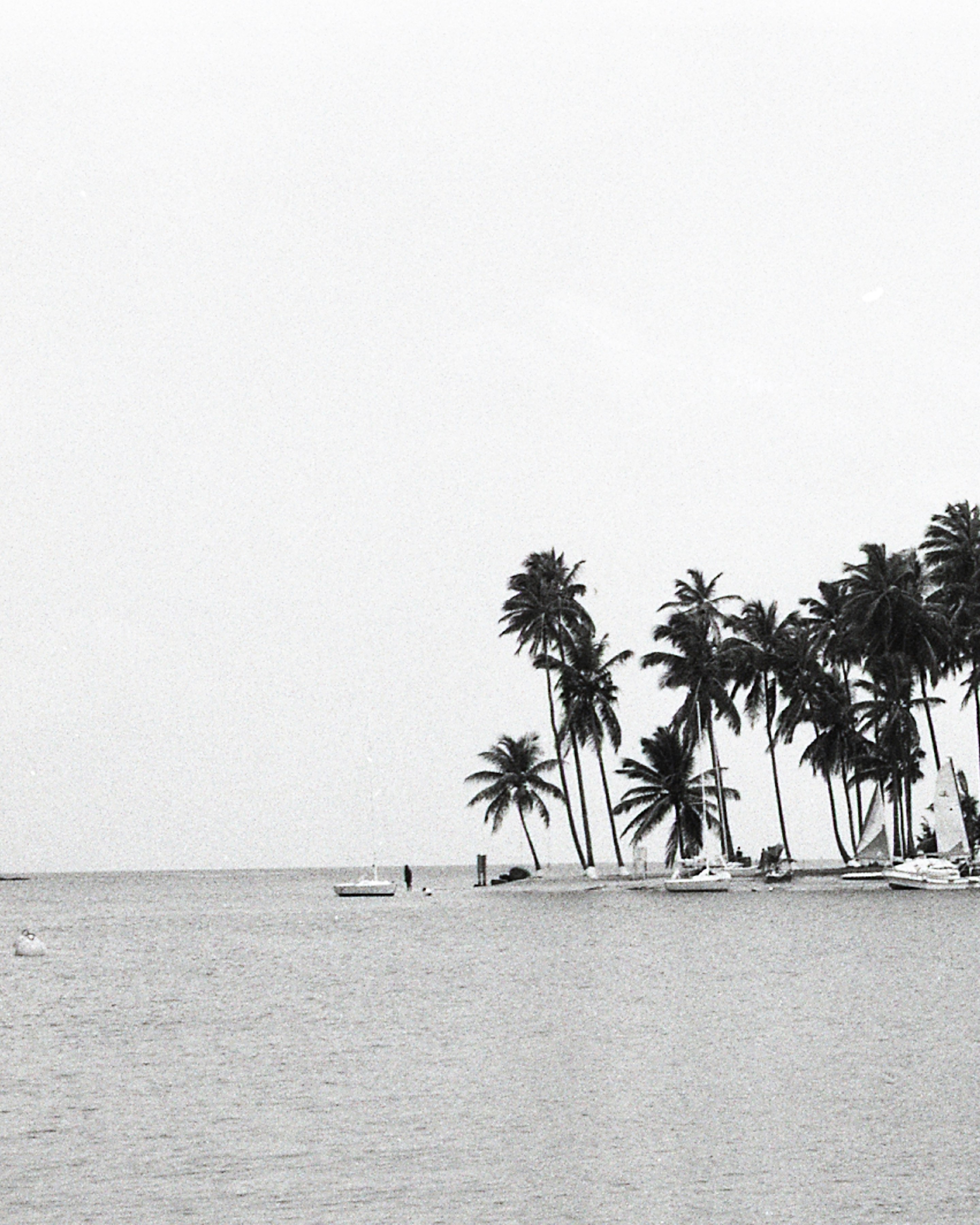 Santa Lucia - No title