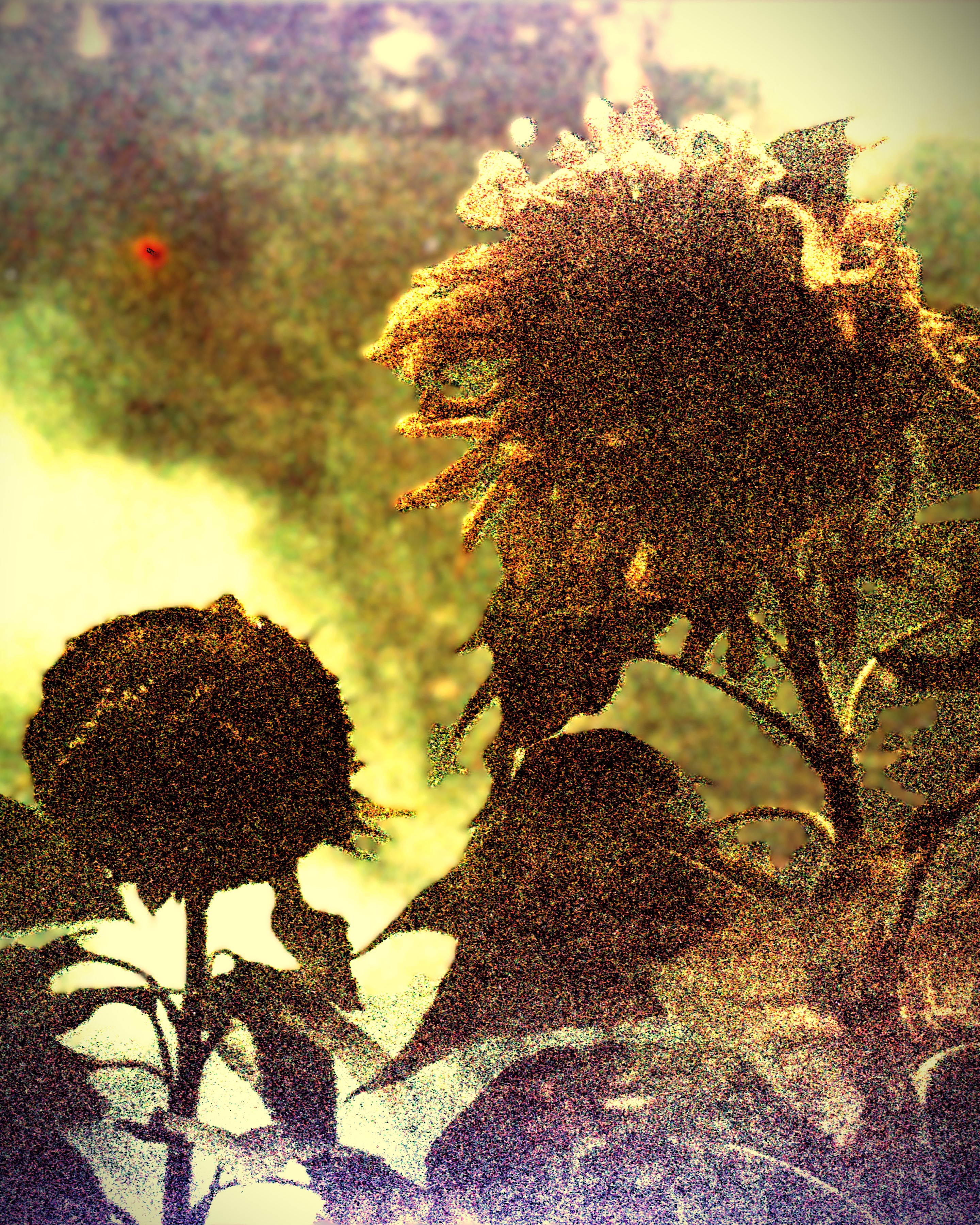 Colombia - Gachantivá