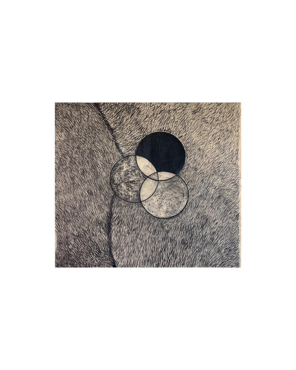 Círculos sobre el pasto